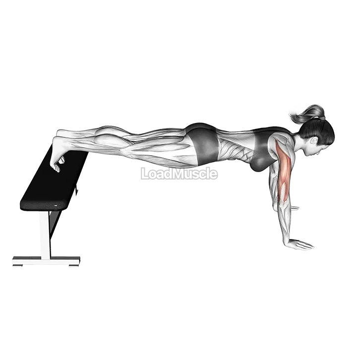 Decline Push up gif