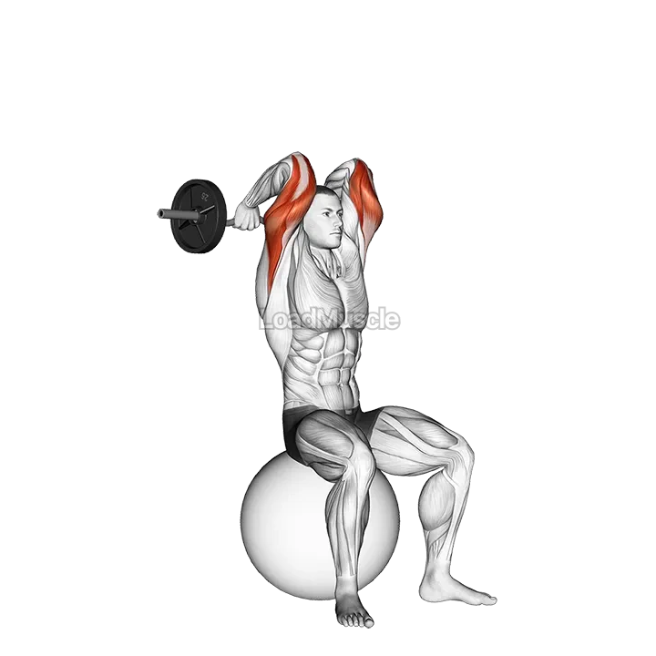 EZ Bar French Press on Exercise Ball gif
