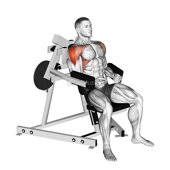 Lever Lateral Raise (plate loaded) gif