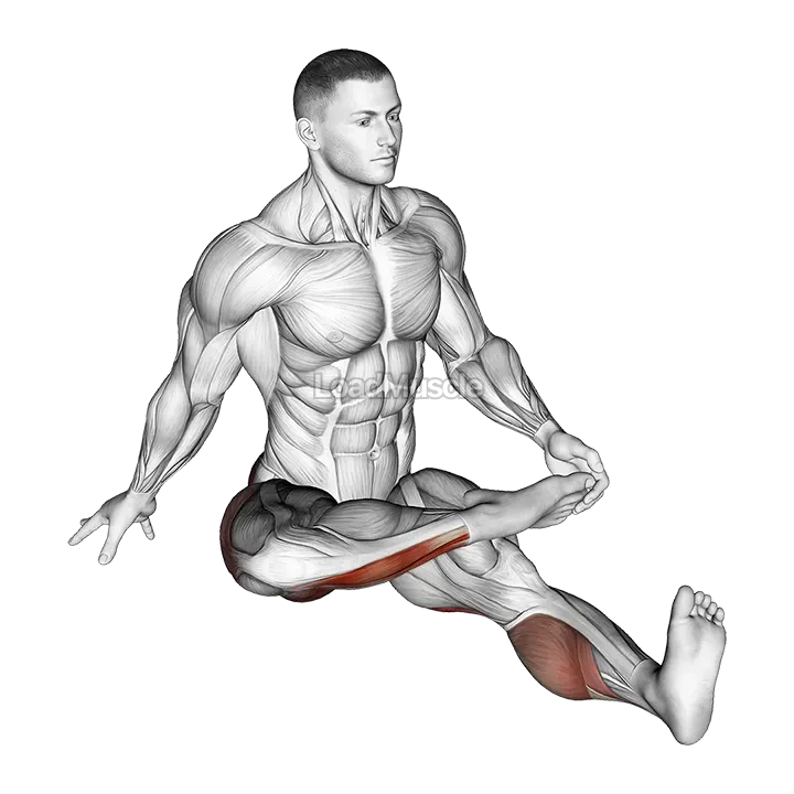 Plantar Flexion Stretch gif
