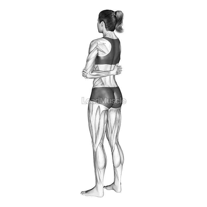 Rotator Cuff Stretch gif