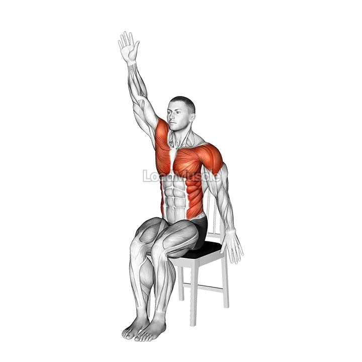 Sitting Swimmer on a Chair gif
