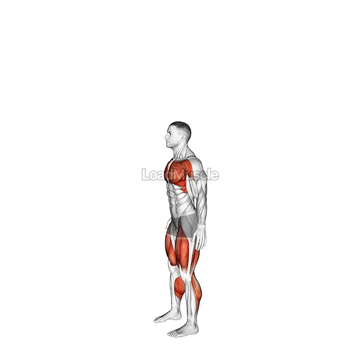 Countermovement Jump Arms Pull gif